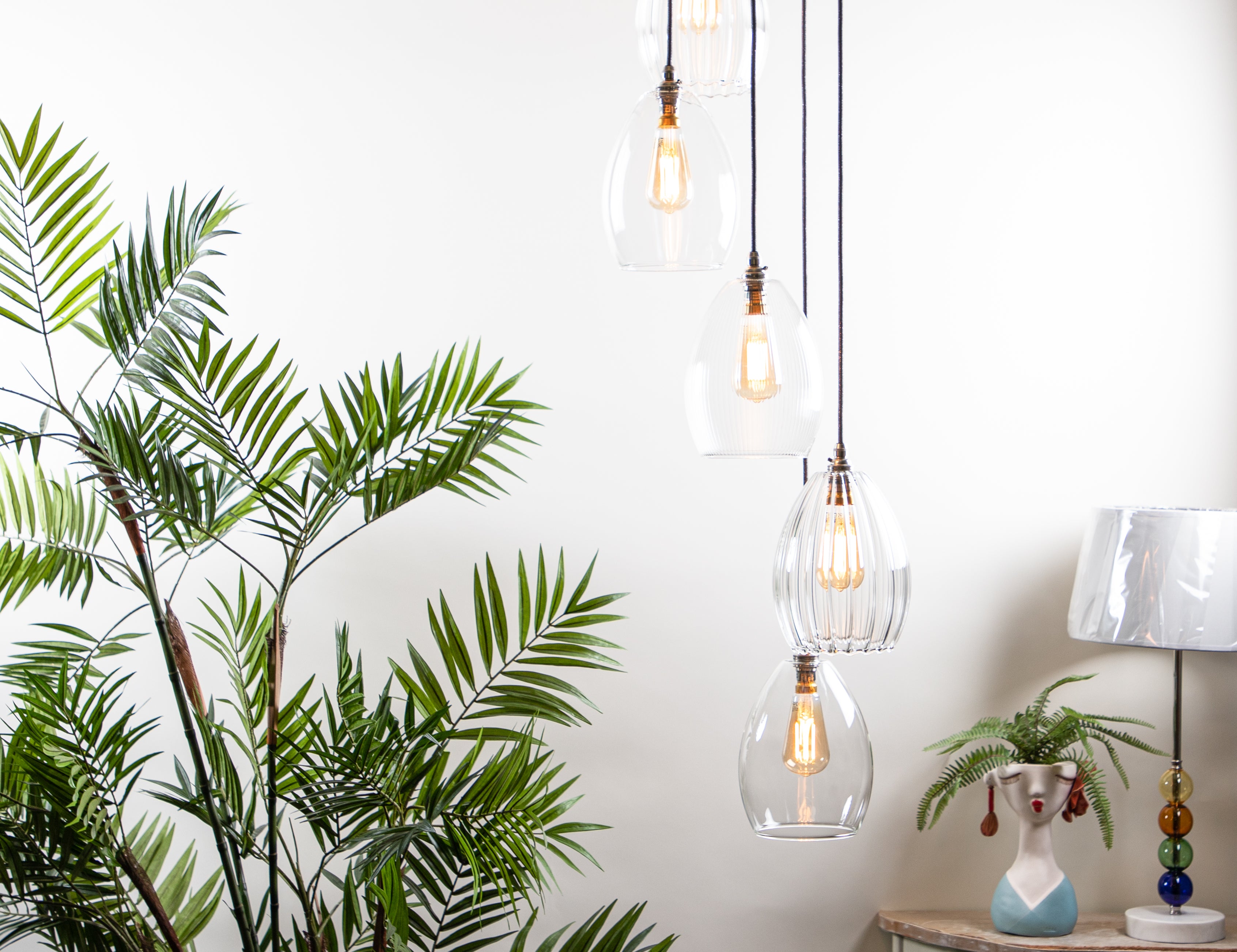Large pendant cluster light featuring 5 clear lighting shades on dark cable. Lighting is style with a large green plant and smaller lamp.