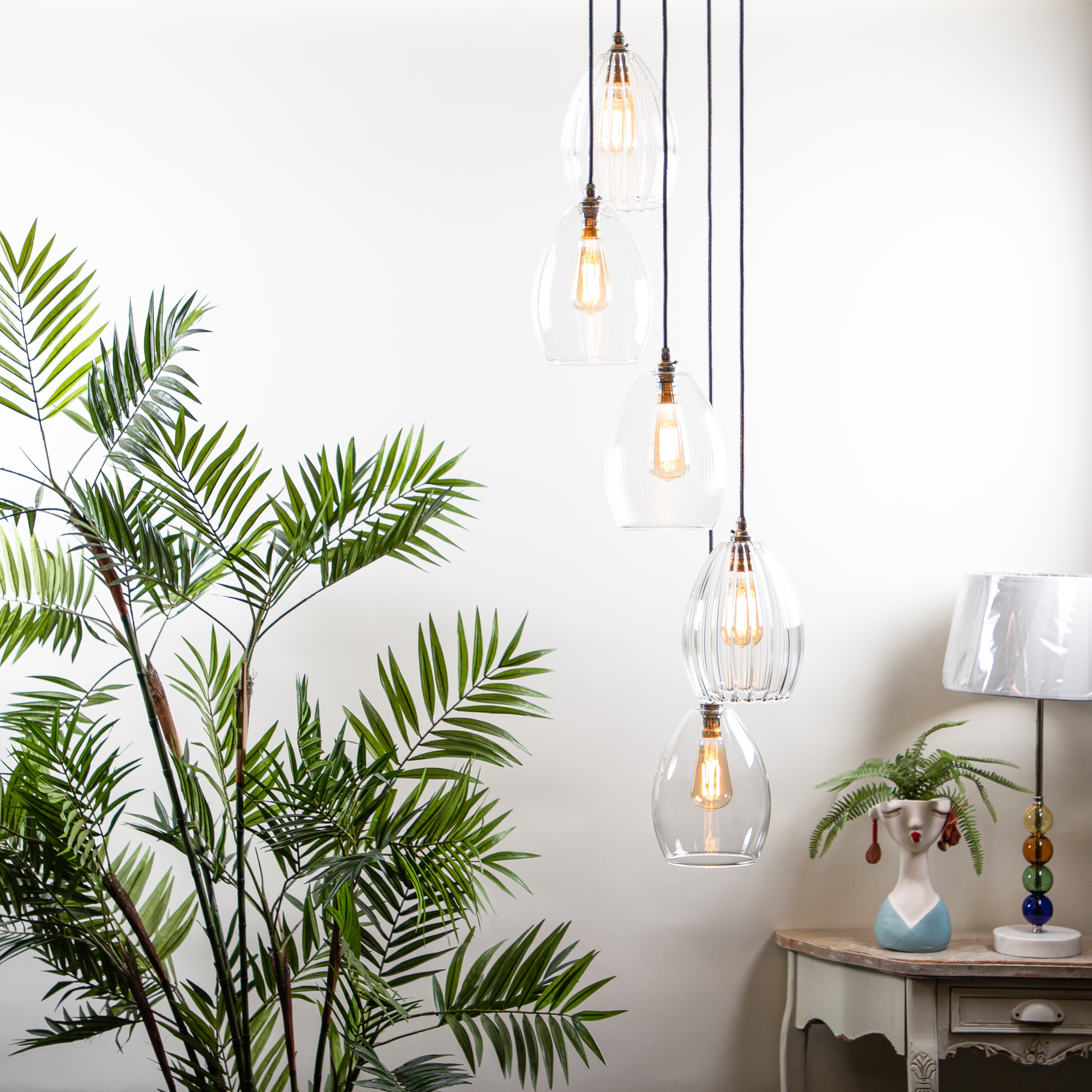 Large pendant cluster light featuring 5 clear lighting shades on dark cable. Lighting is style with a large green plant and smaller lamp.