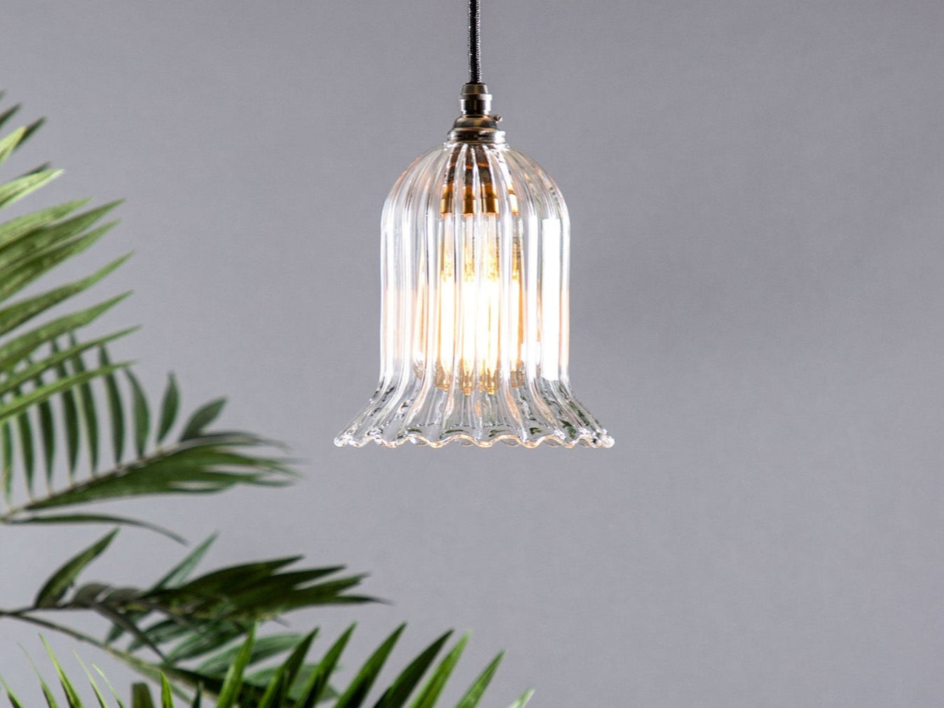 A clear glass pendant light with a fluted design, featuring a metallic finish and suspended by a cable, against a grey background with a green plant to the side.