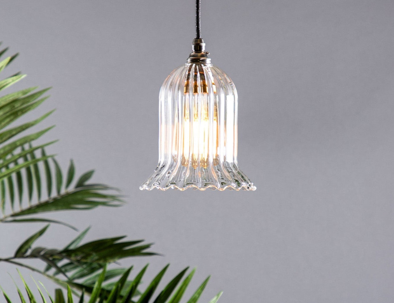A clear glass pendant light with a fluted design, featuring a metallic finish and suspended by a cable, against a grey background with a green plant to the side.