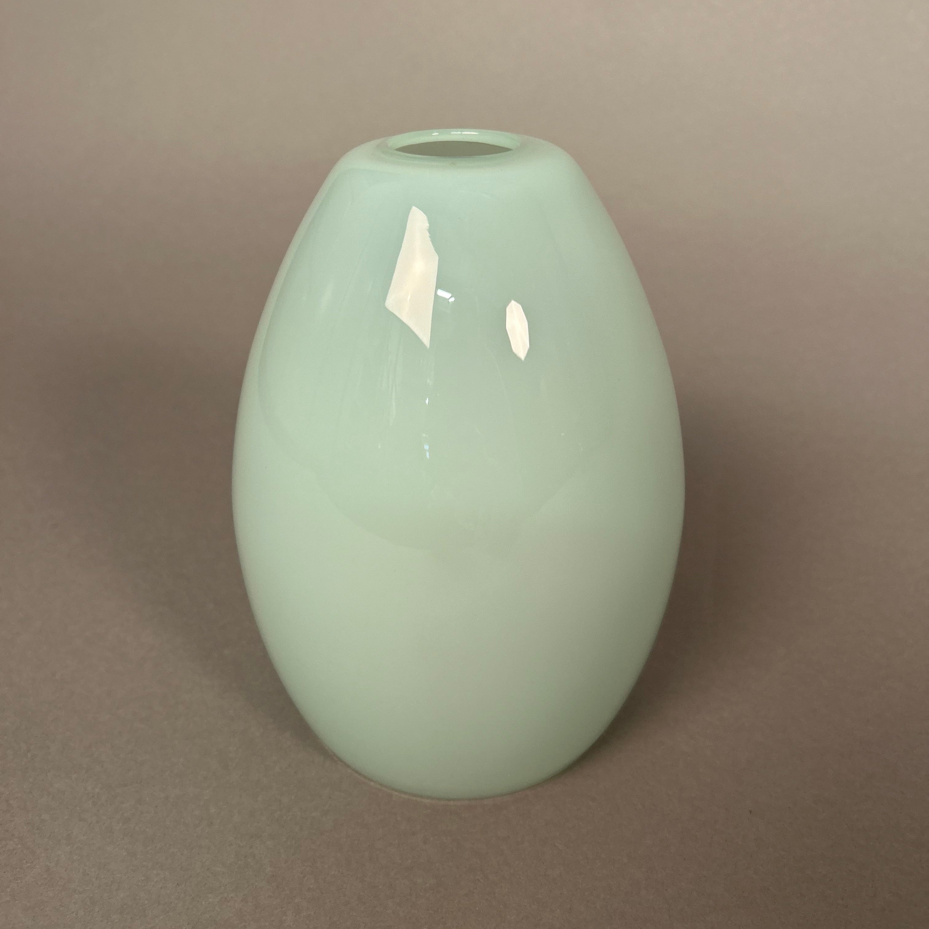 Light green glass pendant light on a beige background